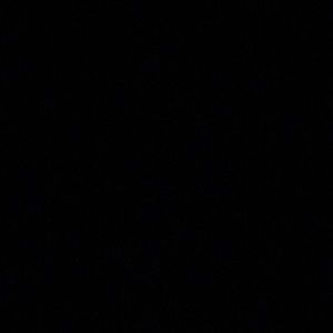 Meet your Posher, Timothy